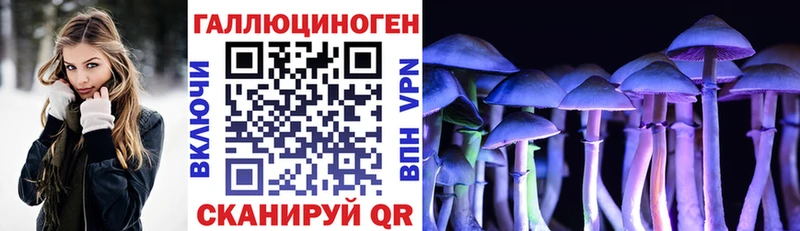 наркота  Брянск  KRAKEN вход  Псилоцибиновые грибы Psilocybe 