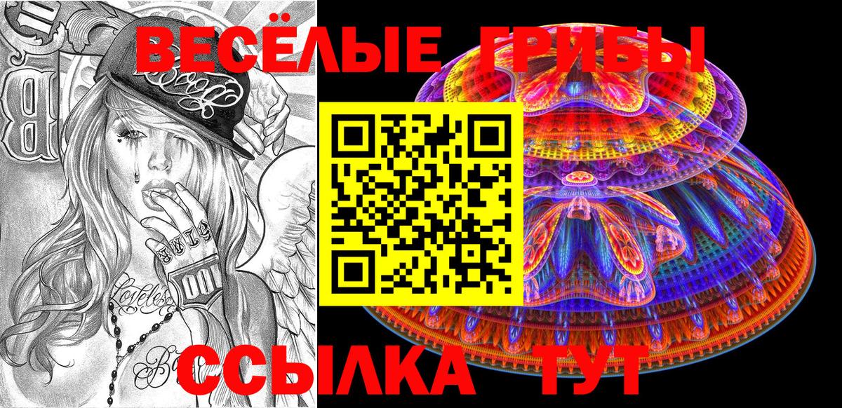 Брянск  Галлюциногенные грибы Cubensis  Вход с VPN 
