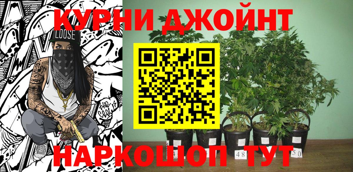 Конопля конопля Брянск
